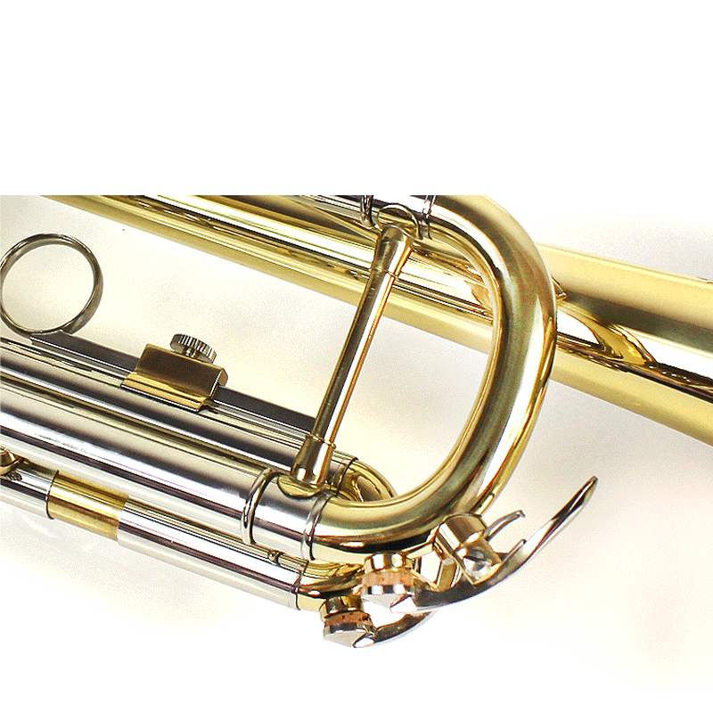 C5000 Bb Trumpet Solid Phosphorus Bell